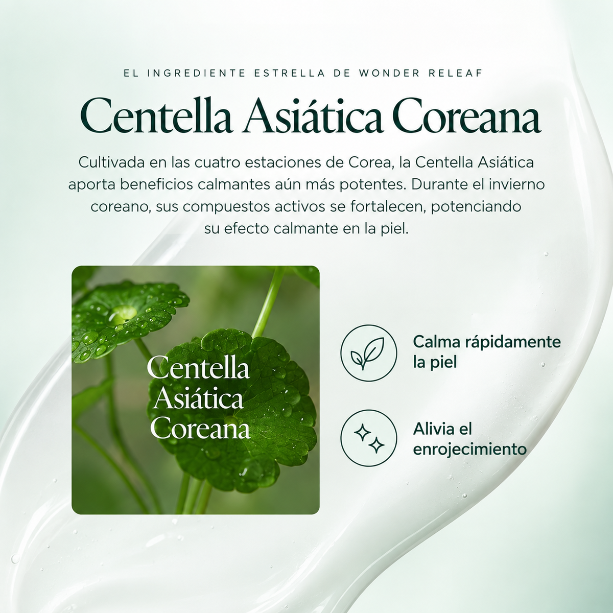 Kit Mini para Piel Sensible Wonder Releaf Centella Unscented
