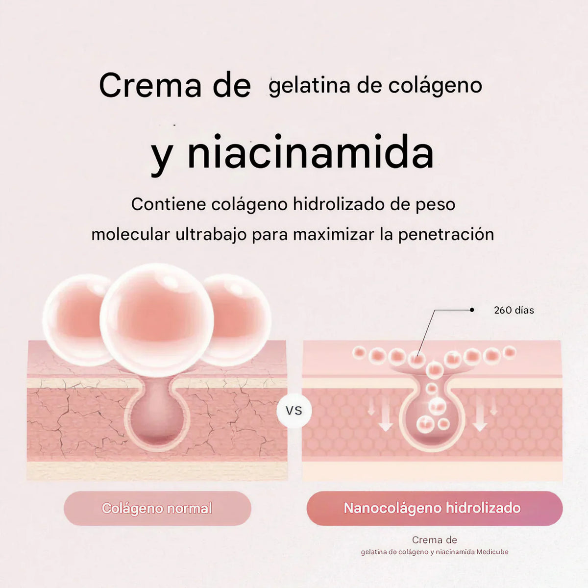 Crema Collagen Jelly Cream
