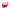 Serum No.2 Rose PDRN Collagen 2X Plumping